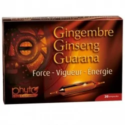 PHYTO CONSEILS GINSENG GINGEMBRE GUARANA 20AMPOULES