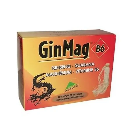 GINMAG B6 10 AMPOULES