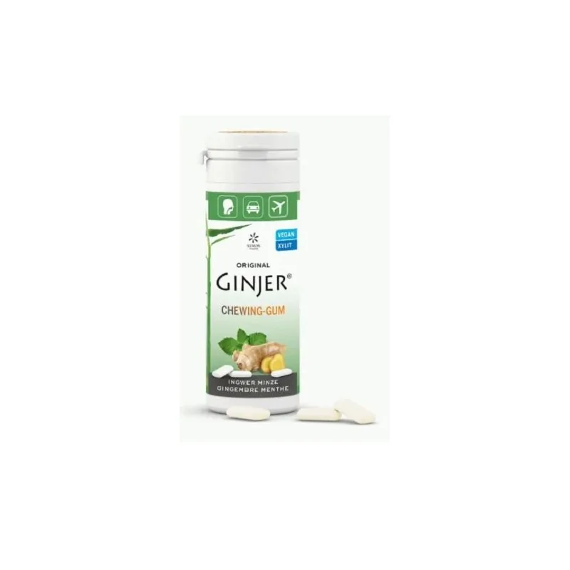GINJER CHEWING-GUM GINGEMBRE MENTHE 30 G